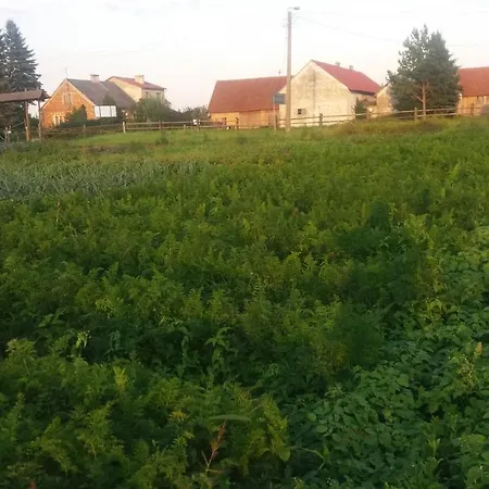 Balbinka 펜션 *